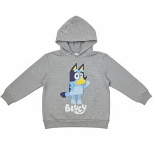 Bluey Character Graphic Pullover Hoodie Toddler Boys 4T Grey